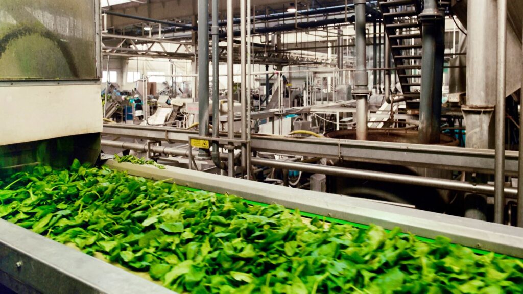HACCP w przemyśle spożywczym