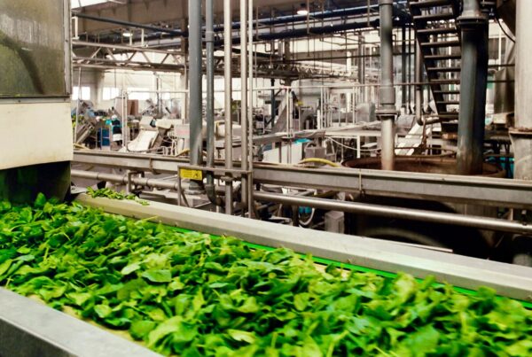 HACCP w przemyśle spożywczym